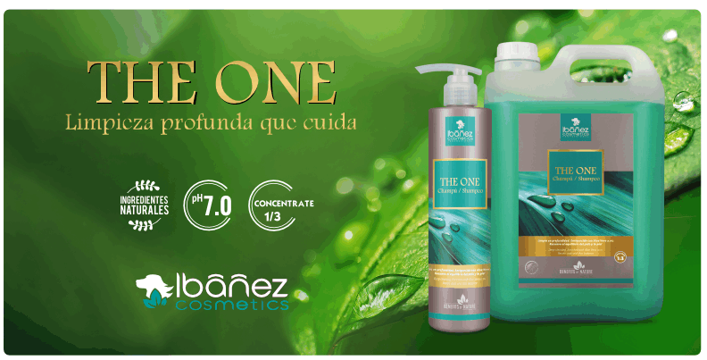 Champú THE ONE