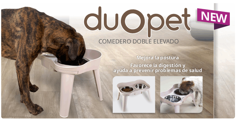 Comedero doble elevado