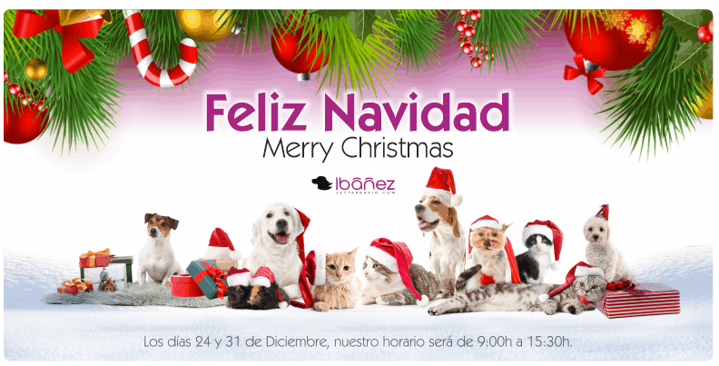 Felices Fiestas
