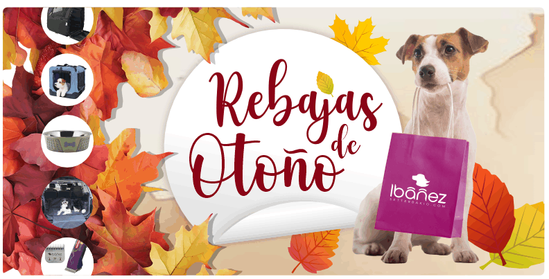 Rebajas Otoño