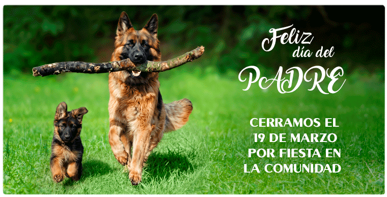 Cerrado por festividad