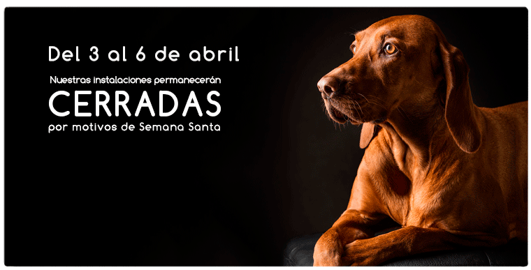 Cerrado por festividad